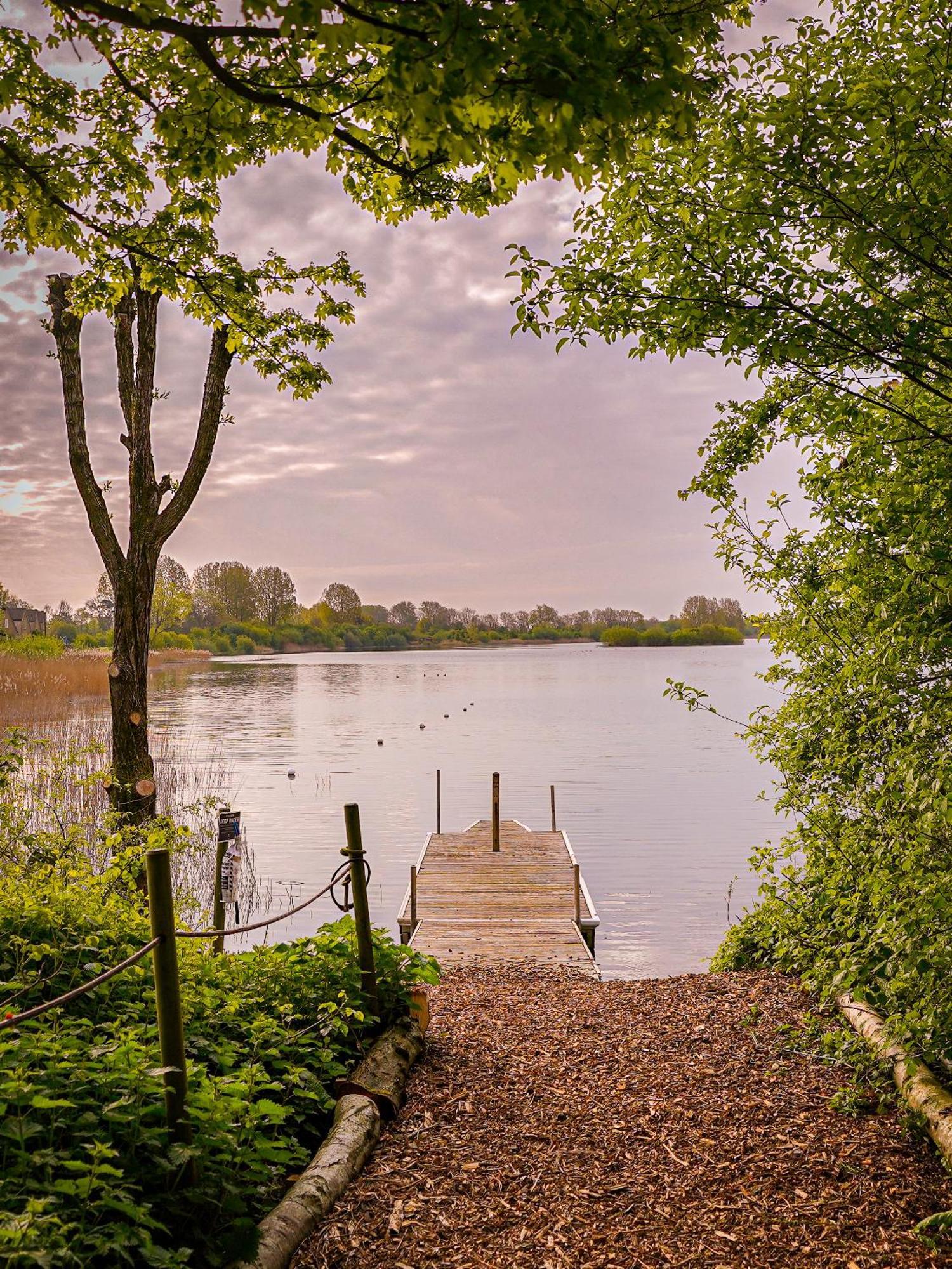 Eider Cottage: View & Access In The Cotswolds Holiday home Cirencester